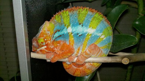 2012-11-10_00-07-20_517.jpg