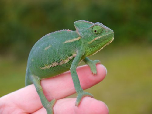 2012-11-11 17.14.13.jpg