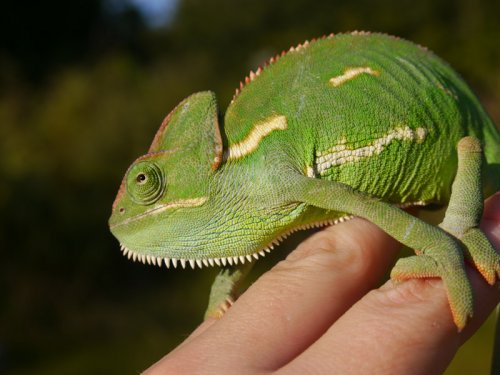 2012-11-11 17.03.36.jpg