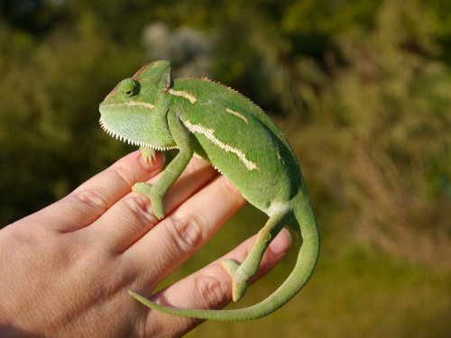 2012-11-11 17.04.14.jpg