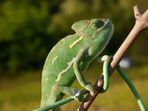 2012-11-11 17.01.46.jpg