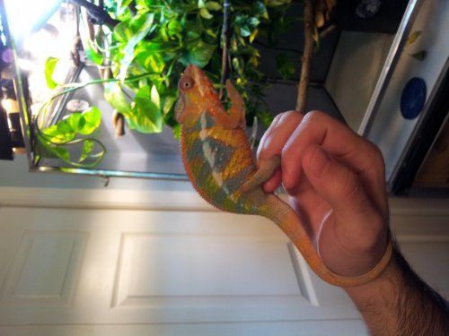 20121030_163937.jpg