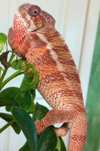 2012-11-13T09-30-07_0.jpg
