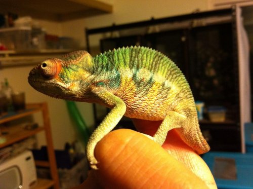 2012-11-13T10-19-48_0.jpg