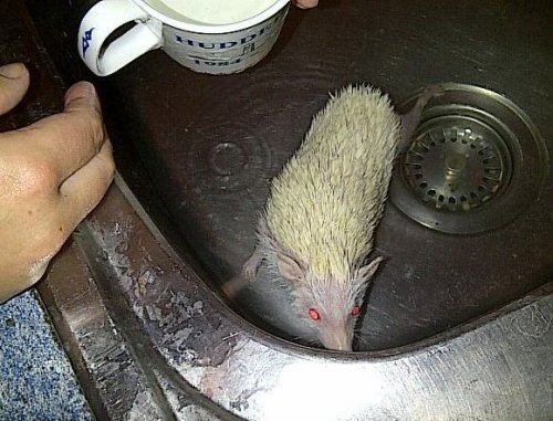 bath time.jpg