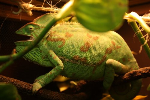 Isis Poses Nov7'12 009.JPG