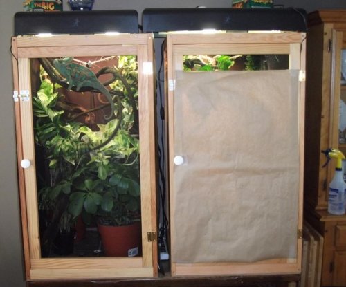 Covered cage Nov15'12.jpg