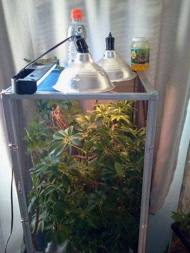 2012-11-16 09.34.47.jpg