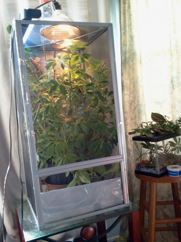 2012-11-16 09.35.38.jpg