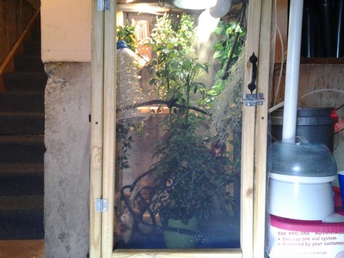 2012-11-17 13.35.35.jpg