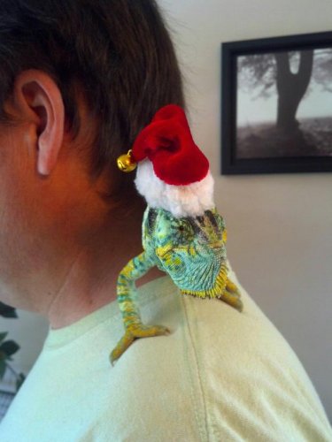 darxmas.jpg