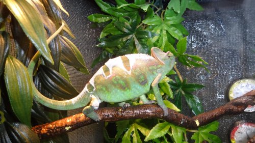 Randall is here! 003.jpg