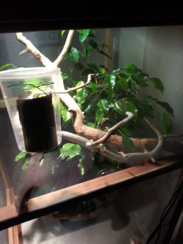 20121119_174509.jpg