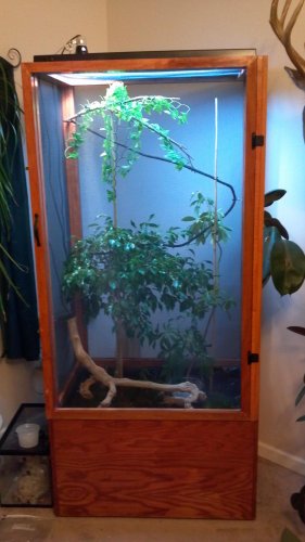 2012-11-20_16-52-13_71.jpg