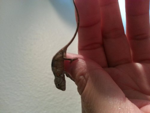 20121121_144245.jpg