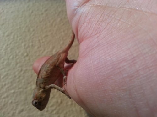 20121121_144538.jpg