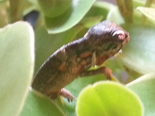 20121121_155915.jpg