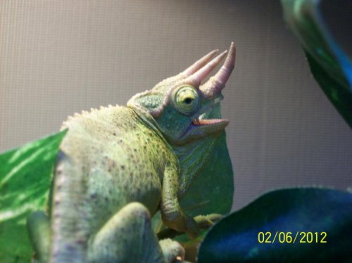 306917_3341944789843_173239099_n[1].jpg