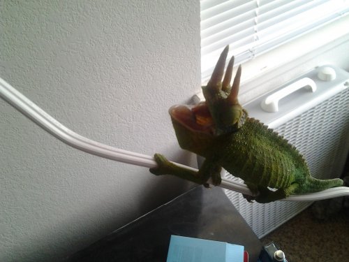 2012-11-24 11.28.07.jpg