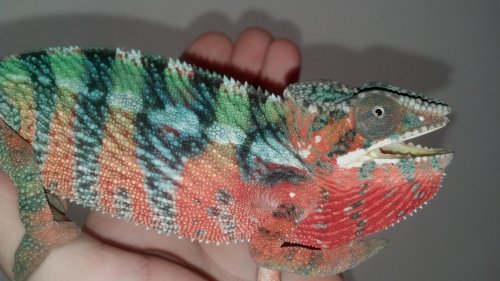 2012-11-24_12-18-22_24.jpg