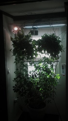 2012-11-24_12-20-37_645.jpg