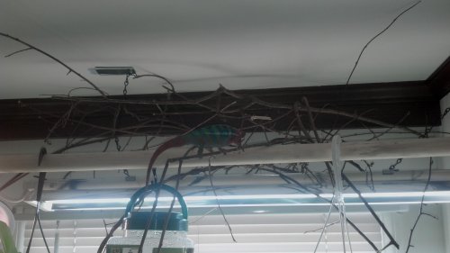2012-11-24_12-20-46_867.jpg