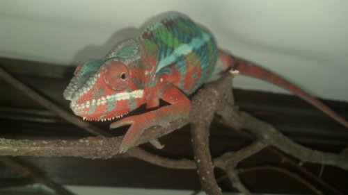 2012-11-24_12-23-18_410.jpg