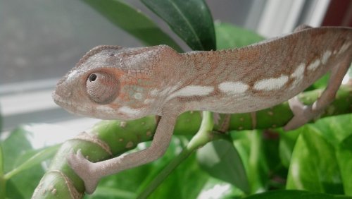 2012-11-24_12-27-14_545.jpg