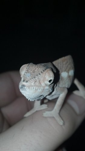 2012-11-13_08-50-29_775.jpg