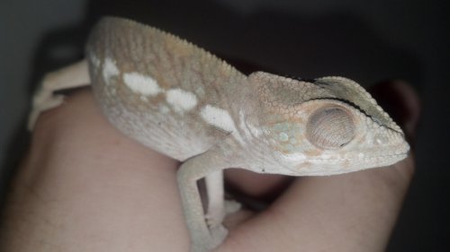 2012-11-24_12-24-58_449.jpg