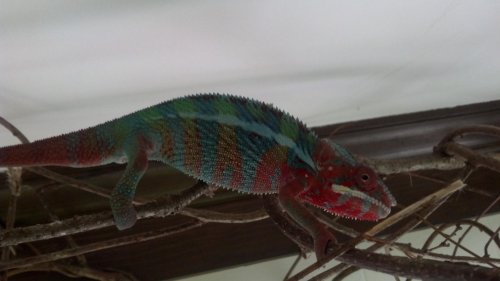2012-11-20_15-14-02_478.jpg