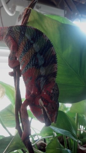 2012-11-24_12-15-49_638.jpg
