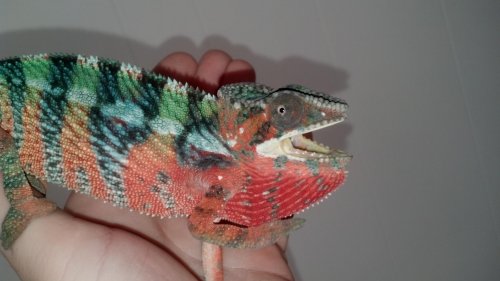 2012-11-24_12-18-18_3.jpg