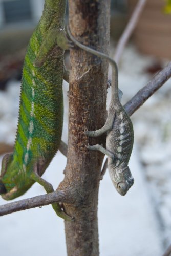 DSC_1271.jpg