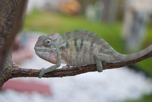 DSC_1296.jpg