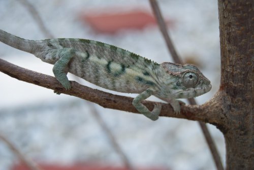 DSC_1275.jpg