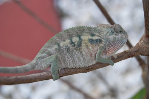 DSC_1294.jpg