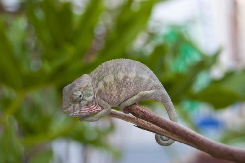 DSC_1291.jpg