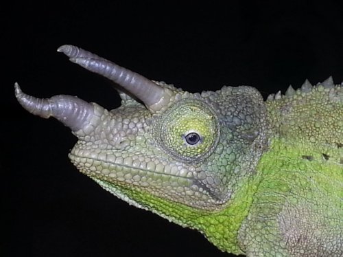 20121129_173100.jpg