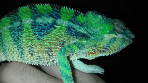 November 29, 2012 078.jpg