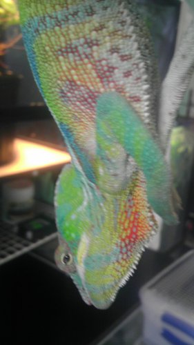 November 29, 2012 206.jpg