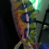 November 29, 2012 190.jpg