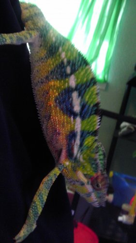 November 29, 2012 150.jpg
