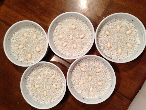 photo (8).jpg
