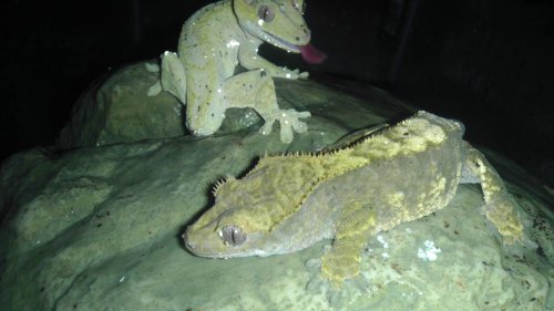 November 30, 2012 094.jpg
