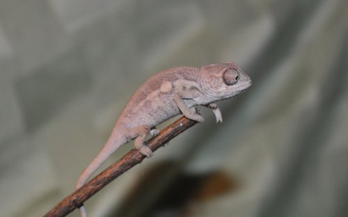 male8-30#4.jpg