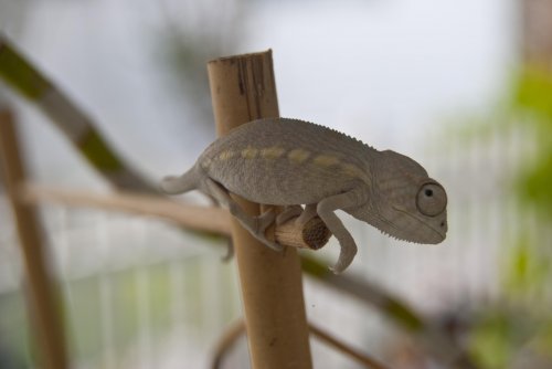 DSC_1379.jpg