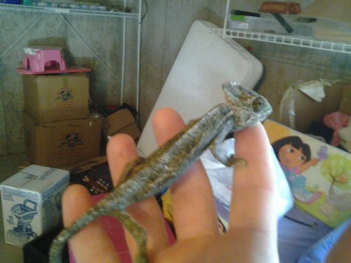 2012-12-03 11.34.14.jpg