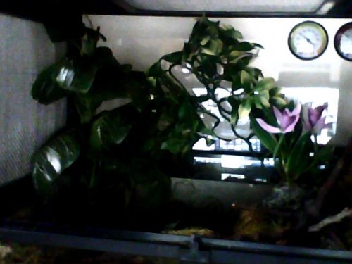 Snapshot_20121203_2.JPG