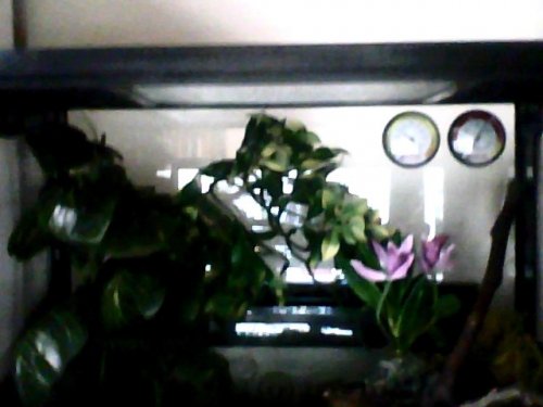 Snapshot_20121203.JPG